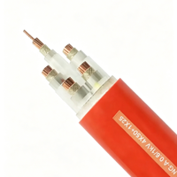 Cable Flexible con Aislamiento Mineral Resistente al Fuego BTLY de Cobre LSZH para Uso en Construcción, Modelo NG-A-BTLY