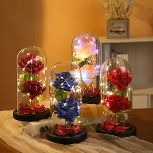 Valentine's Day Gift Two Preserved Flower Led Lights in Glass Dome Eternal Rose Ornaments Mother's Day Gift Home Decoration
