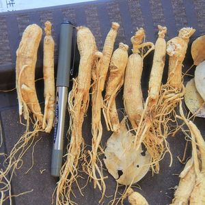 Lu <span class=keywords><strong>E</strong></span>'niang Ginseng Chino Seco de Primera Calidad, 50g, Montaña Changbai, Empaque en Caja, 24 Meses de Duración, Sabor Agridulce, Tradicional - Product Image 2