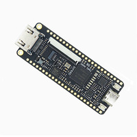 Carte de développement Linux Tang Nano 9K Pico RV1103 avec processeurs Cortex-A7 RISC-V MCU NPU ISP, interface Type-C, carte FPGA 9K