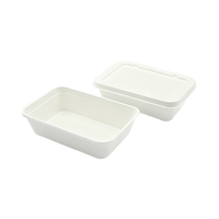 Food Grade Veilige Biologisch Afbreekbare Wegwerp Bagasse Pulp Afhaalmaaltijd Doos Met Deksel Voor Camping Party Reizen