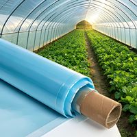 Film PE à haute transmission lumineuse anti-UV pour serres agricoles, idéal pour l'élevage de plantes en pleine lumière