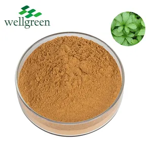 Gezondheid Supplement Gypenosiden 98% Jiaogulan Blad Gynostemma Pentaphyllum Extract