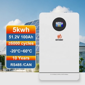Sistema de Batería de Almacenamiento de Energía Doméstica Todo en Uno de 51.2V 100Ah 5kwh, Batería de Litio Lifepo4 Solar de Montaje en Pared - Product Image 2
