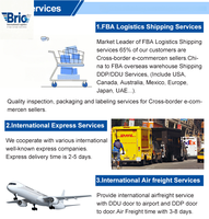 Agente de Envío Profesional de China a Todo el Mundo, Envío Exprés LCL FCL, Transitario de Carga Aérea y Marítima, Servicios DDP DDU