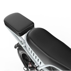 Vélo Électrique Tout-Terrain Adulte M9 250W avec Pneus Larges 20*4.0 Pouces, Vitesse 25km/h, Freins Hydrauliques, Stock EU/UK - Product Image 6