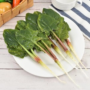 PU Artificial Spinach Model Lifelike Fake Vegetable Food <b>Prop</b> for Halloween Thanksgiving <b>Stage</b> Farm Scenery Display - Product Image 4