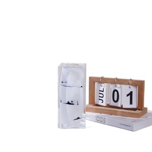 Jarrón acrílico minimalista de diseño cuadrado, maceta ligera para plantas hidropónicas, decoración artística - Product Image 5