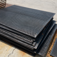 Industrielle Anpassbare Lineare Rundloch-Perforierte Siebplatten für Vibrationssiebe im Bergbau und Erzverarbeitung
