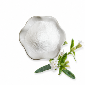 Astrawell Extrait <span class=keywords><strong>de</strong></span> Stévia Haute Pureté RA98% <span class=keywords><strong>Sans</strong></span> OGM <span class=keywords><strong>Substitut</strong></span> Naturel du <span class=keywords><strong>Sucre</strong></span> Fabricant - Product Image 1