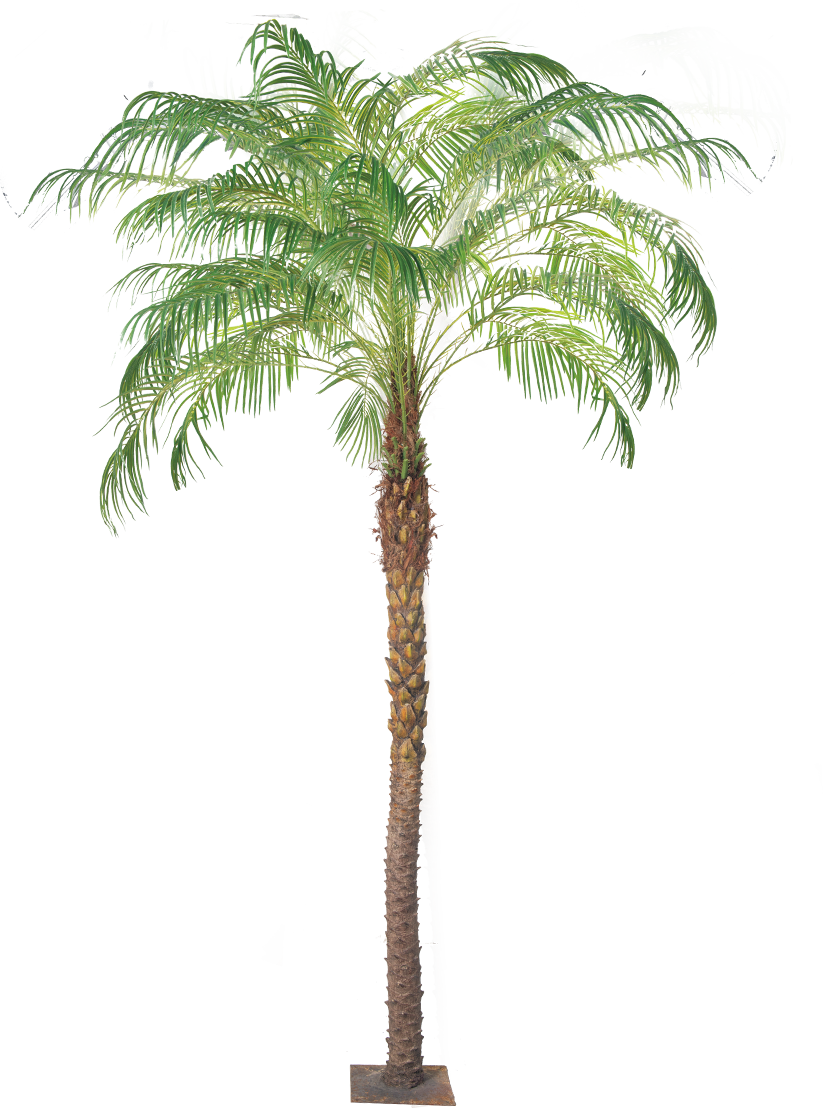 Phoenix Palm 250cm -polyester trunk