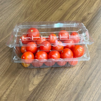 Contenants jetables transparents en PET de 500g avec trous d'aération, coques à clapet haute transparence pour tomates et salades