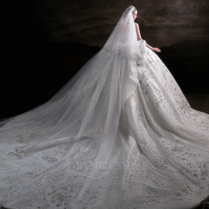 Vestido de Novia LSHT121 Moderno con Apliques de Encaje Floral y Cristales, Sin Tirantes, con Pedrería, Estilo Imperio, Largo hasta el Suelo - Product Image 3