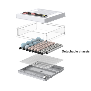70 Hühnereier Kapazität Encubadora De Huevos Automatische Inkubatoren zum Ausbrüten von Eiern - Product Image 2