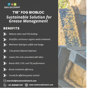 Bloque Biológico para Mantenimiento de Sistemas de Trampas de Grasa, Bloque de Plástico para Trampas de Grasa - Product Image 1