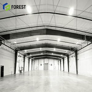 Bâtiment préfabriqué en acier avec structure à ossature longue portée pour bureaux, écoles, ateliers - Solutions de construction rapides et économiques - Product Image 2