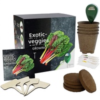 Kit de culture de légumes avec pots en porcelaine biodégradables, style campagnard créatif, cadeau transfrontalier pour la plantation de graines de jardin