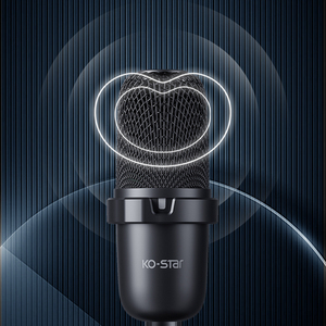 Microphone <span class=keywords><strong>parabolique</strong></span> Fm à condensateur sans fil Microphone de jeu vocal Microphone à condensateur Microphone d'enregistrement vocal pour podcast USB - Product Image 2