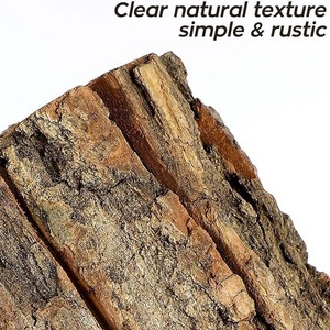 Bằng Gỗ Chậu Hoa Vỏ Cây Gỗ Chậu Hoa 4 Inch Vỏ Cây Bình Cây Gốc Cây Bình Bằng Gỗ <span class=keywords><strong>Planter</strong></span> Cho Ngoài Trời Trong Nhà Trang Trí Nội Thất - Product Image 3