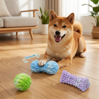 Jouet à mâcher pour chien en TPR durable, nouveau design géométrique, jouet couineur pour animaux de compagnie, vente en gros du fabricant Famipet