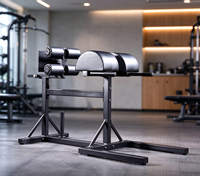 Chaise romaine GHD réglable, banc d'hyperextension, machine de développement des muscles fessiers et des ischio-jambiers pour l'entraînement du tronc et du dos, équipement de gym professionnel