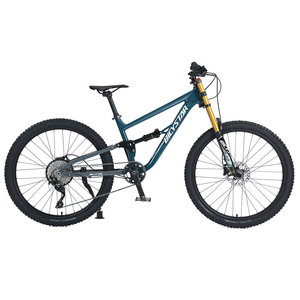 จักรยานเสือภูเขา All Mountain Mtb ลดราคา/จักรยานเสือภูเขาสำหรับผู้หญิงขนาด 29 นิ้ว แบบ Downhill Full Suspension/จักรยานเสือภูเขาแบบ Downhill Full Suspension - Product Image 1