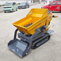 Schnelle Lieferung Mini Dumper Crawler Transporter Benutzer definierte Farbe Compact Dump Truck Großhandel Micro Mini Dumper Truck