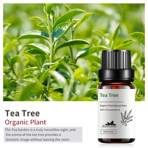 Aceite Esencial de Árbol de Té Natural a Granel 10ml 100% Puro con Incienso, Canela, Cedro y <span class=keywords><strong>Cajeput</strong></span> para Difusor de Coche y Cuidado de la Piel al por Mayor - Product Image 1