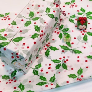 100 Piezas de Papel de Seda con Diseño de Aloe Vera Navideño de 19.7x13.7 Pulgadas para Fondo de Fotos Navideños, Decoración de Pueblo Navideño, Proyectos de Manualidades de Invierno - Product Image 2