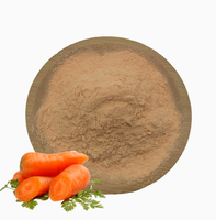 Gespraydroogd wortelpoeder rijk aan bèta-caroteen, bulk oranje groente grondstof wortelpoeder