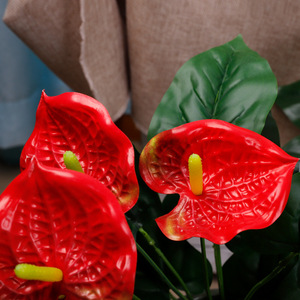 Bouquet d'Anthurium Artificiel 15 Têtes Mini Rouge en Plastique Haute Simulation Décoration Maison - Product Image 4