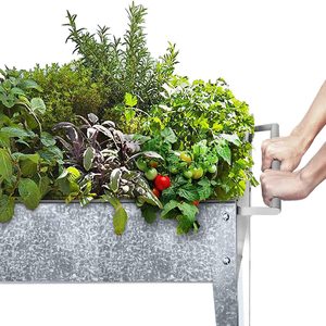 กระบะปลูกผักแบบตั้งพื้น,ทำจากเหล็กชุบสังกะสีกล่องปลูกต้นไม้ยกขากลางแจ้ง - Product Image 6