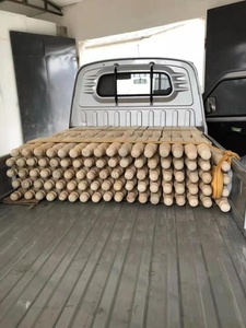 Actory-máquina de arroz <span class=keywords><strong>para</strong></span> uso en el hogar, máquina <span class=keywords><strong>para</strong></span> oprimir el arroz - Product Image 5