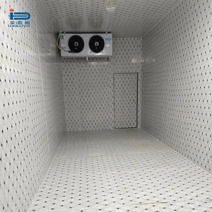 Cámara Frigorífica para la Conservación de Zanahorias y Vegetales con Paneles Solares, Compresores Copeland/Emerson, Control Digital y Control Remoto - Product Image 4