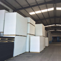Feuille de plastique PVC blanche de haute qualité bonne résistance mécanique pour l'industrie des matériaux de construction