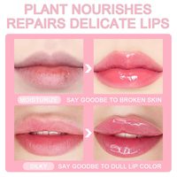 Vente de gros Huile de brillant à lèvres hydratante Rouge à lèvres hydratant transparent Baume à lèvres teinté naturel repulpant