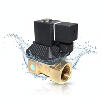 Vannes Z131 laiton 2/2 voies diaphragme pilote 12V 24V 24V AC DC filetage Air eau gaz normalement fermé NC 220 volts électrovanne