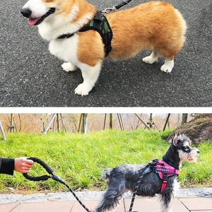 Tali kekang hewan peliharaan modis, Anti selip dengan tali nilon empuk, cocok untuk anjing kecil dan sedang - Product Image 5