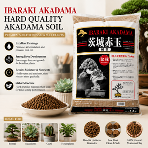 Sustrato <span class=keywords><strong>de</strong></span> Arcilla Porosa Akadama para <span class=keywords><strong>Cactus</strong></span> y Flores, Fertilizante Granulado para Adubación <span class=keywords><strong>de</strong></span> Superficie <span class=keywords><strong>de</strong></span> Suculentas, para un Crecimiento Saludable <span class=keywords><strong>de</strong></span> las Raíces - Product Image 1