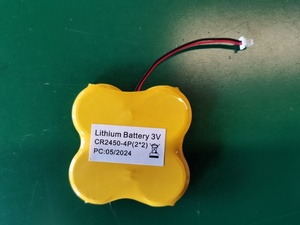 2XCR2450 Cellule bouton CR2450-2P au lithium Limno2 <span class=keywords><strong>3V</strong></span> pour appareils ménagers Jouets Outils électriques Cr2032 Cr2032R Cr2025 Cr2016 Cr1620 - Product Image 6