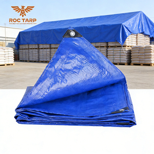 Lona de Polietileno de Alta Calidad de 50-300 Gsm, Impermeable, Tejida, de HDPE, Anti-UV, <span class=keywords><strong>para</strong></span> Uso en Exteriores, Industria y Agricultura - Product Image 2