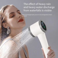 Douche de camping portable, intérieure et extérieure, pompe de douche électrique rechargeable avec affichage de la température pour la randonnée, le lavage de voiture et des animaux domestiques