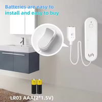 Détecteur de fuite d'eau intelligent Tuya ZigBee avec rallonge et alarme sonore de 80 dB, commande vocale pour la maison et l'hôtel