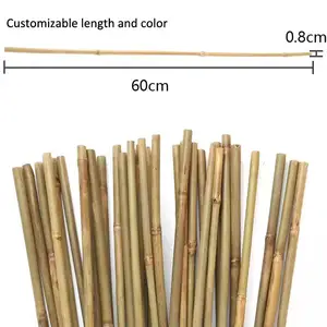 China Factory Direct Supply Rohstoff Bambus stangen Pfahl stangen für die Gartenarbeit