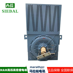 Moteur haute tension haute densité Marathon Hah IP55 étanche pour ventilateurs et pompes à eau - Product Image 4