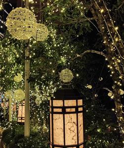 <span class=keywords><strong>Luces</strong></span> LED <span class=keywords><strong>de</strong></span> PVC con Forma <span class=keywords><strong>de</strong></span> Bola <span class=keywords><strong>de</strong></span> Ratán, <span class=keywords><strong>Luces</strong></span> Decorativas para Exteriores, Jardín, Árbol, Calle, Guirnalda <span class=keywords><strong>de</strong></span> <span class=keywords><strong>Luces</strong></span> Decorativas IP44 - Product Image 6