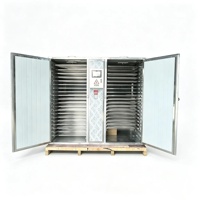 Fabrieks Prijs Tray Dryer Machine voor Mango, Tomaat, Chili en Fruitverwerking