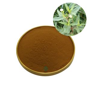 Kruiden <span class=keywords><strong>Eclipta</strong></span> <span class=keywords><strong>Alba</strong></span> <span class=keywords><strong>Extract</strong></span> Poeder Gedroogde Natuurlijke <span class=keywords><strong>Eclipta</strong></span> Prostrata <span class=keywords><strong>Extract</strong></span> - Product Image 1