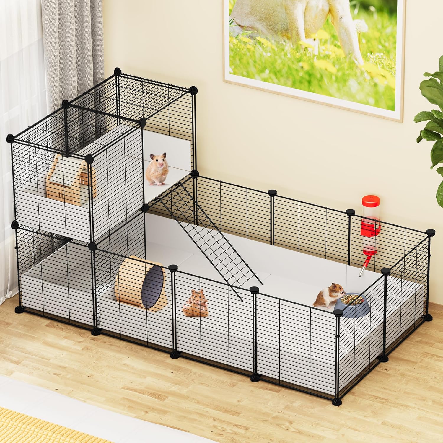guinea pig cages