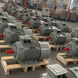 Moteurs électriques industriels asynchrones triphasés haute efficacité 55 kW 75 ch YE4-250M-2 50 Hz 200 V-1140 V Faible bruit 200 V-1140 V en vente - Product Image 5